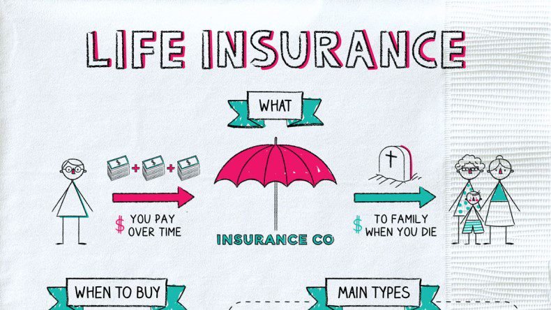 Circle Of Life Insurance