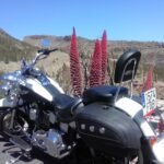 Motorcycle Insurance Tenerife – Cost, Benefits, and Types
