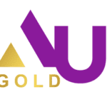AU Gold Insurance - Why You Should Consider AU Gold Insurance?