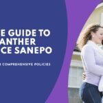 Velvet Panther Insurance Sanepo: A Complete Guide